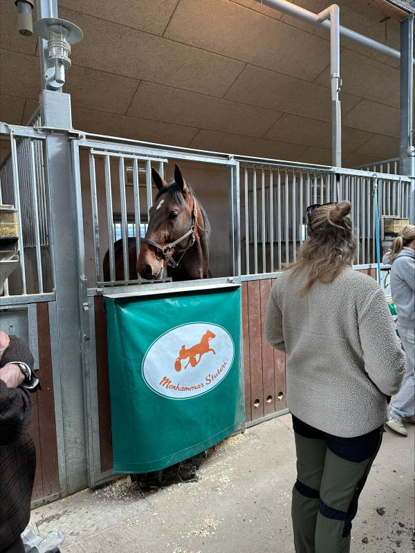 Studiebesök på Menhammar