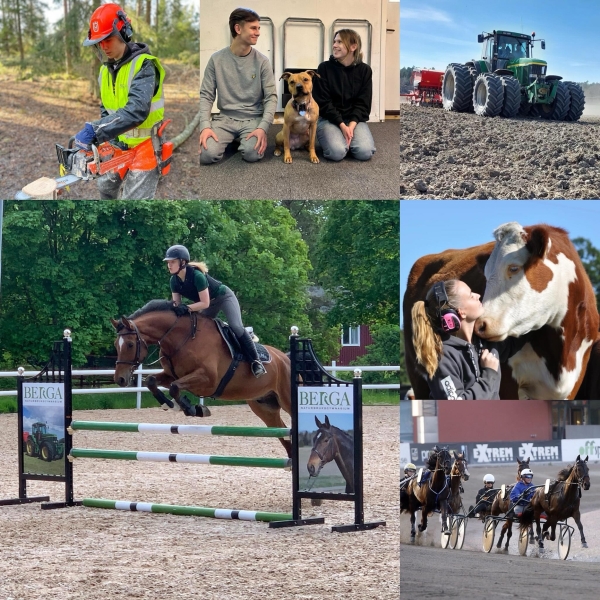 Höstterminen har startat!