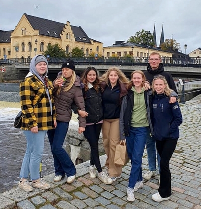 Djursjukvård (mot häst) på Berga