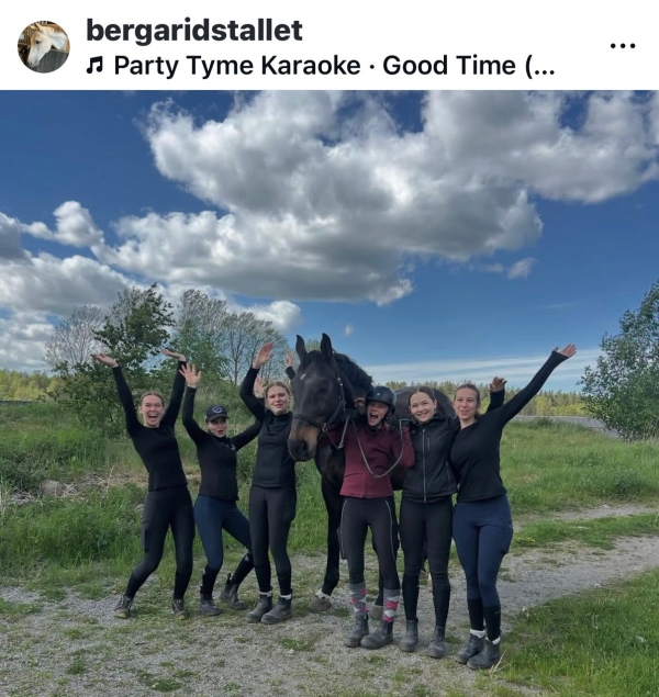 Diplomerade hästskötare